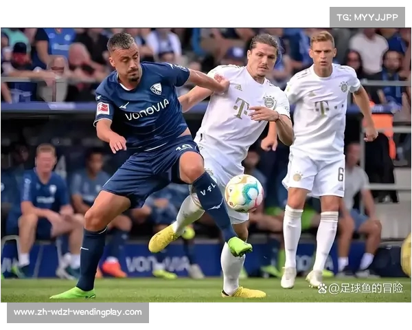 德甲球队2025赛季联赛排名最新发布 德甲球队2025赛季联赛排名最新发布