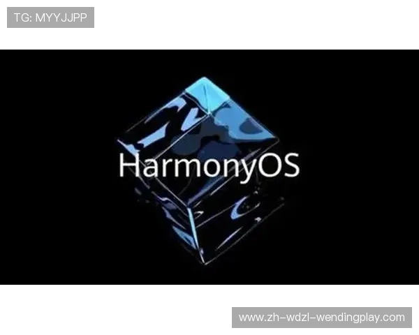 高性价比健身器材哪里找五个隐藏购买渠道深度解析 高性价比健身器材哪里找五个隐藏购买渠道深度解析